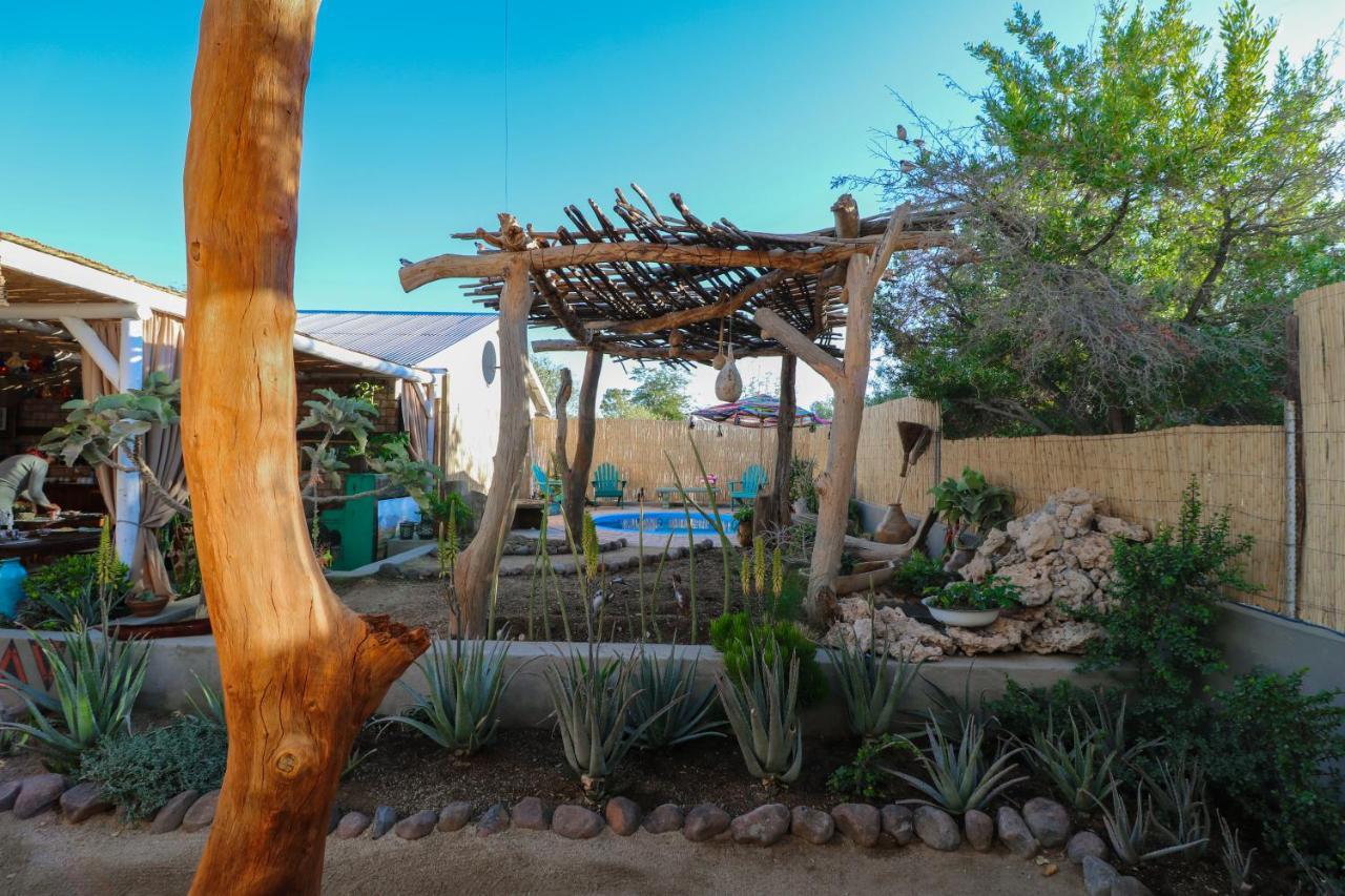 The Desert House Uis Εξωτερικό φωτογραφία
